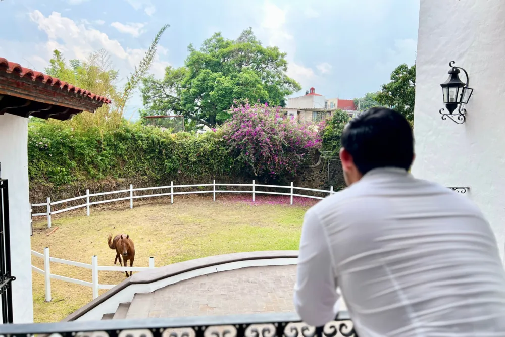 Persona contemplando los jardines de la clínica