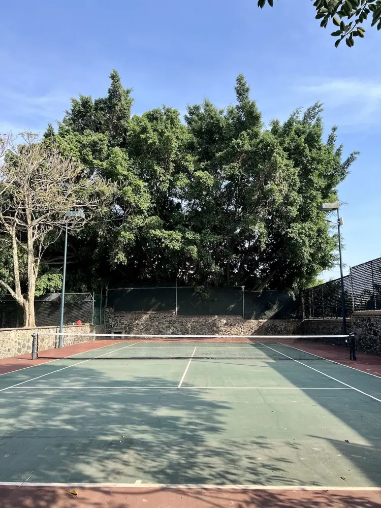 Cancha de tenis